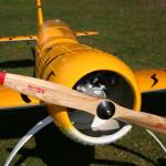 IMG 4727.JPG