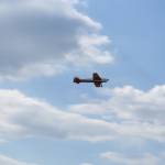 IMG 4739.JPG