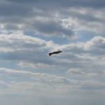 IMG 4740.JPG