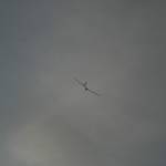 IMG 4756.JPG