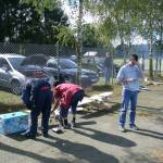 picture-0004