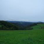 picture-0011