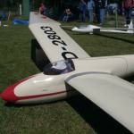 picture-0011