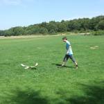 picture-0011