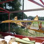 picture-0015
