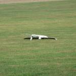picture-0020