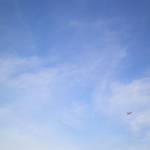 picture-0023