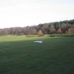 picture-0024