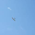 picture-0033