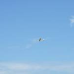 picture-0035