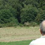 picture-0037
