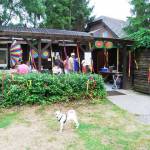 picture-0041