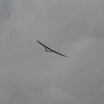 picture-0071