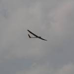 picture-0072