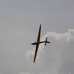 picture-0100