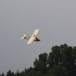 picture-0110