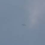 picture-0124