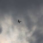 picture-0232